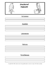 Steckbriefvorlage-Habicht.pdf
